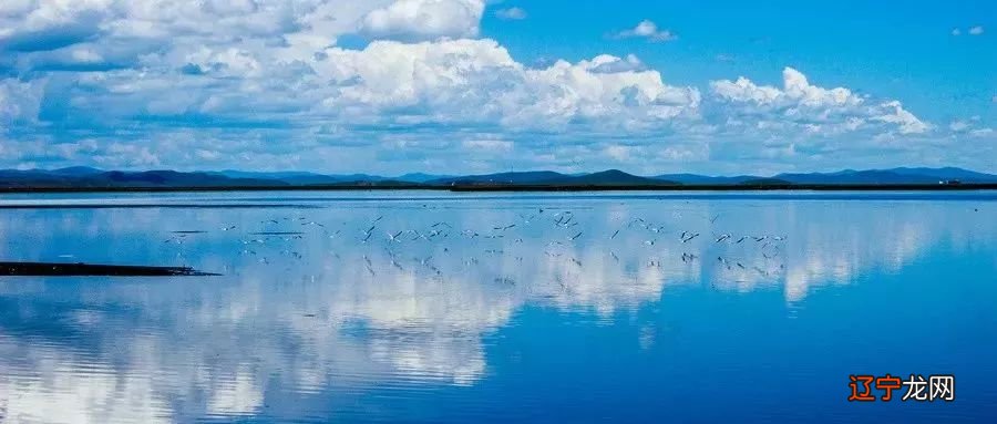 张琛平：道为术之体，术为道之用