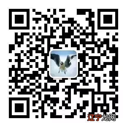 张琛平：道为术之体，术为道之用