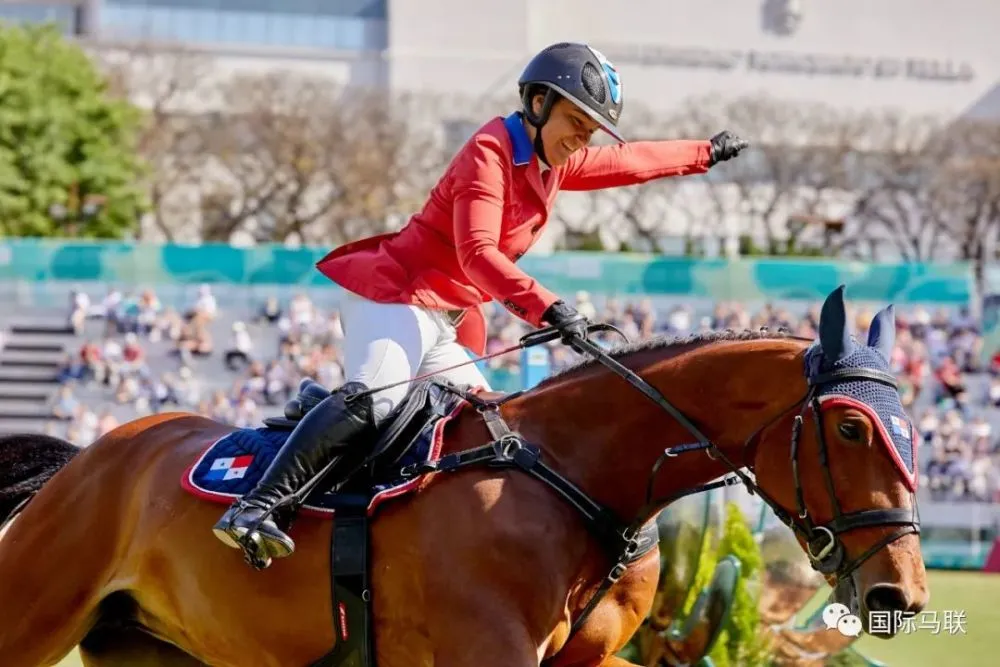 从星座上划分一下可爱的马儿!看看你家爱马的哪些性格竟然是天注定!