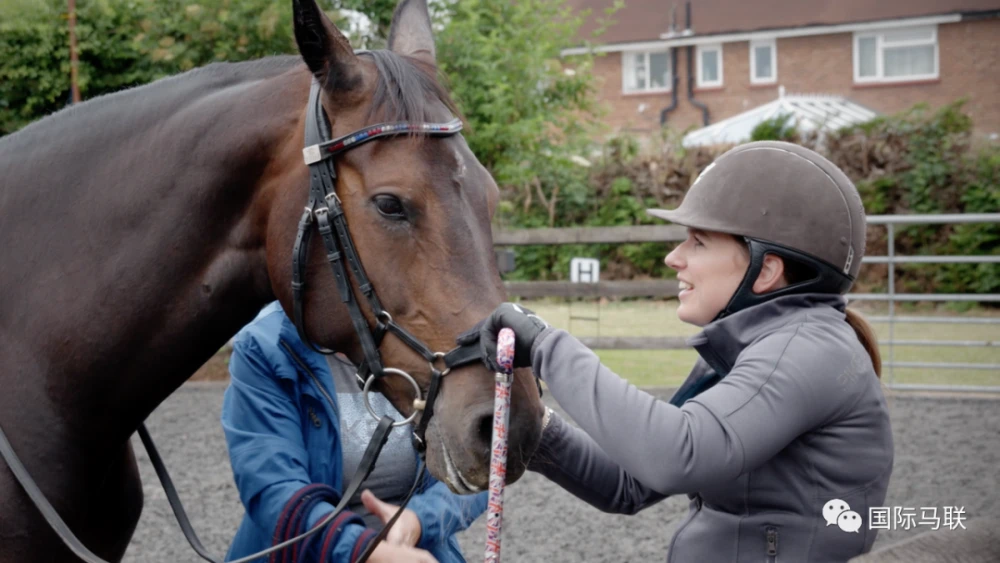 从星座上划分一下可爱的马儿!看看你家爱马的哪些性格竟然是天注定!