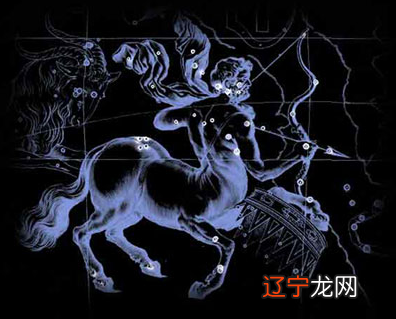 从星座上划分一下可爱的马儿!看看你家爱马的哪些性格竟然是天注定!