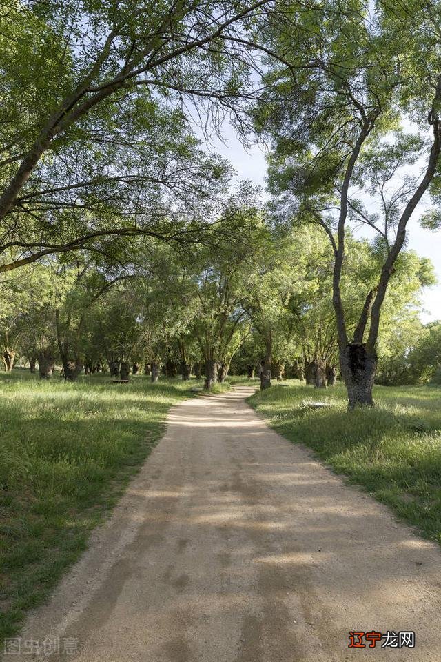 记忆中的经典台词梦见相同的场景,这个场景每一次都是跟水有关