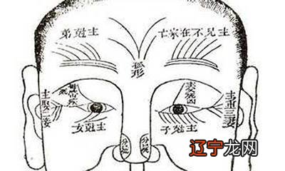 面相学在中国那么火一命二运三风水四积德五读书