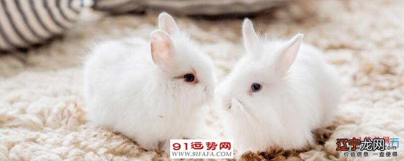 郑伟建风水堂:男女婚前需要合婚吗?