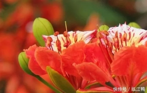 4月开始“德存”吉星加持之下,上半年好事频出