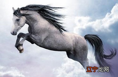 鼠和鼠配婚好吗？属鼠的克星是什么属相