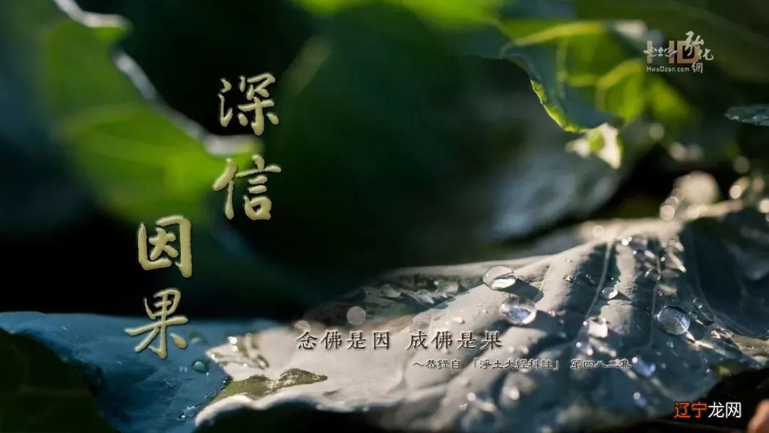 老疯子使出轮回拳的时候，东哥敢称“无敌”