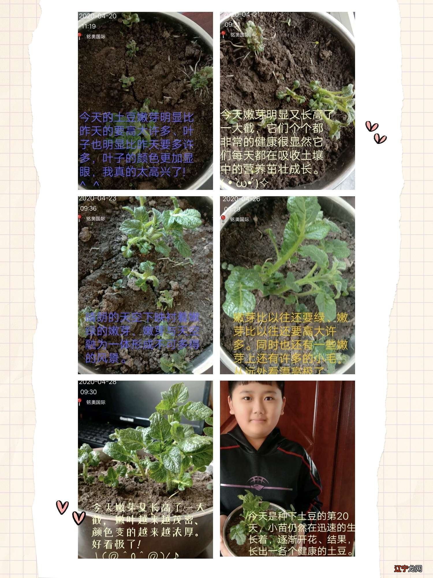 预示着可能要干苦力活，或身体疲惫不堪商人预兆