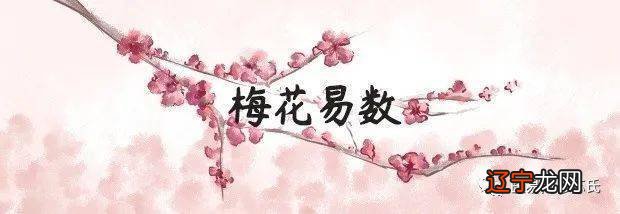 六爻和梅花易数哪个更容易自学学哪一个