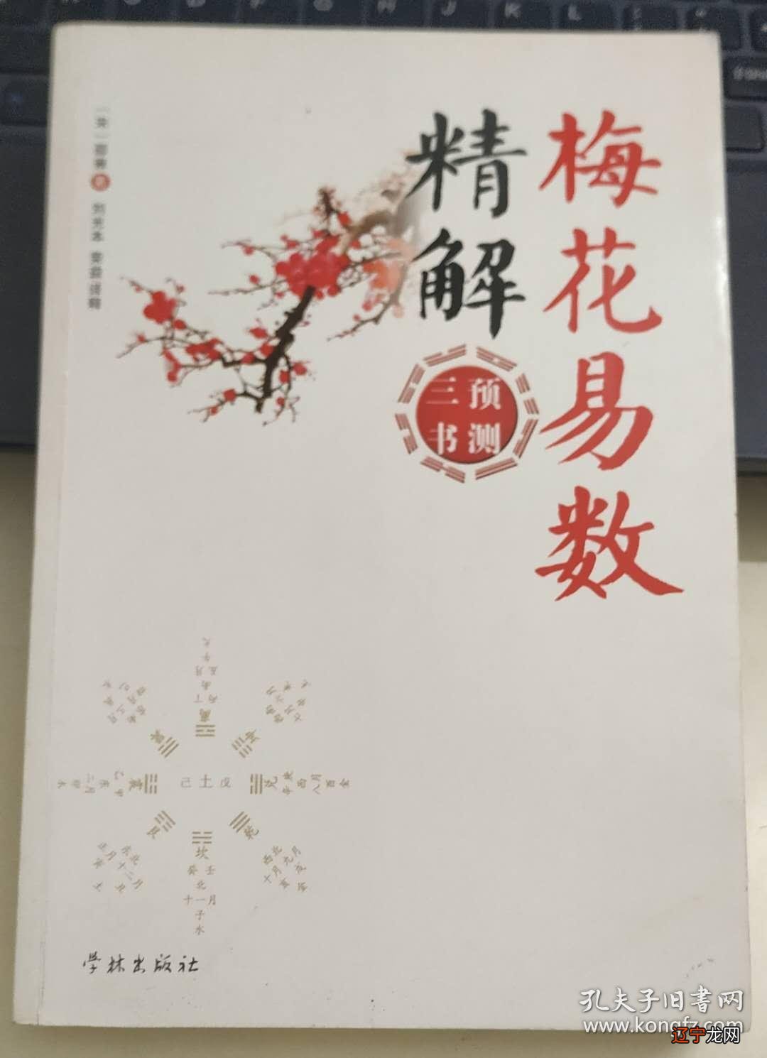 六爻和梅花易数哪个更容易自学学哪一个