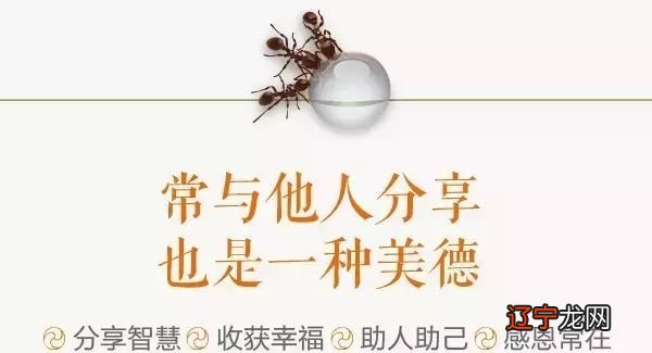 如何看城市的公共墓地点穴--公墓里的穴位绝大多数