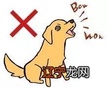 占卜问事 祸兮福之所倚，福兮祸之所伏