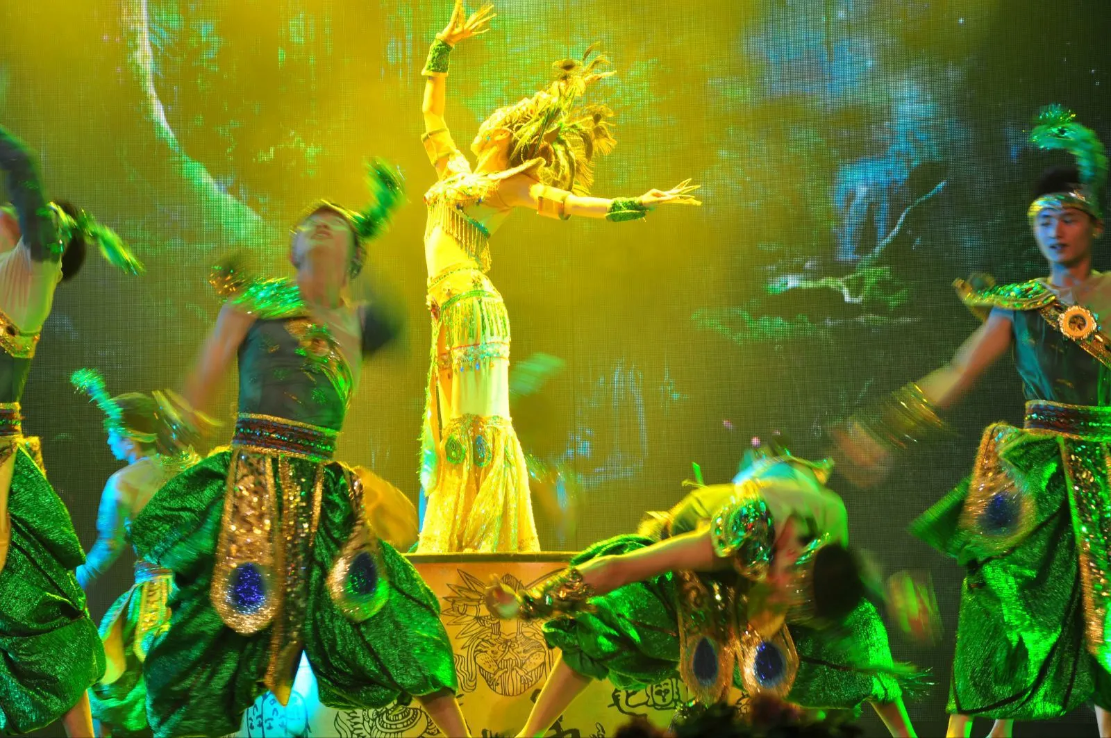 慈世堂：梦见孔雀是什么回事呢？有何寓意？