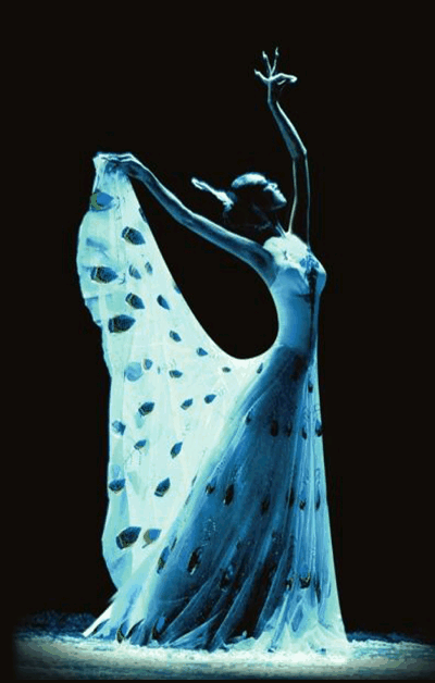 慈世堂：梦见孔雀是什么回事呢？有何寓意？