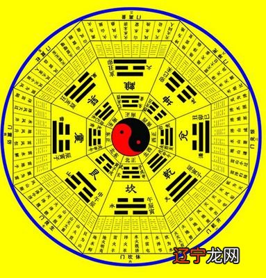 风水堂:如果命真的能算出来呢？