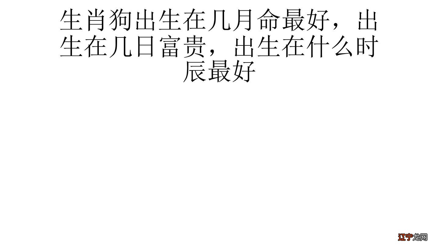 风水堂:什么人适合养狗不要养?