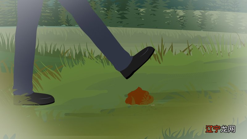 风水堂:梦见脚上踩到屎的人