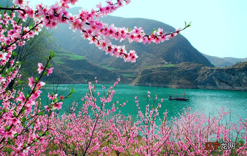 风水堂:怎么让自己的桃花盛开