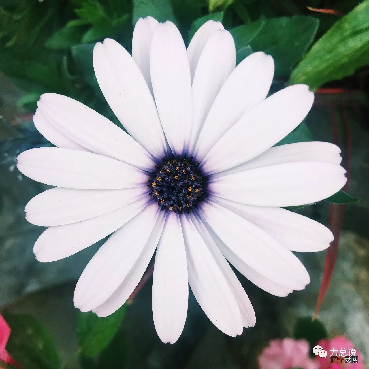 风水堂:《易经》不能两本书两本书