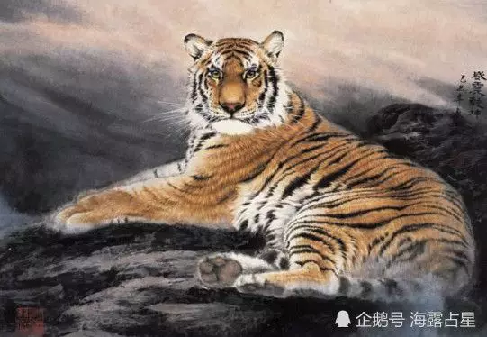 86年的虎是什么命婚配最佳答案的生肖配对