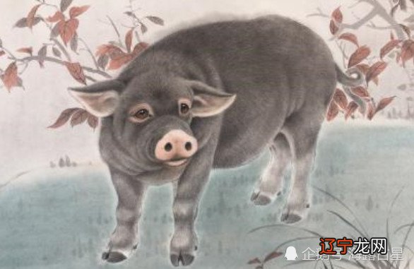 业绩节节攀升,持续努力生活里财富不缺的6大办公区