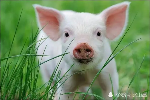 业绩节节攀升,持续努力生活里财富不缺的6大办公区