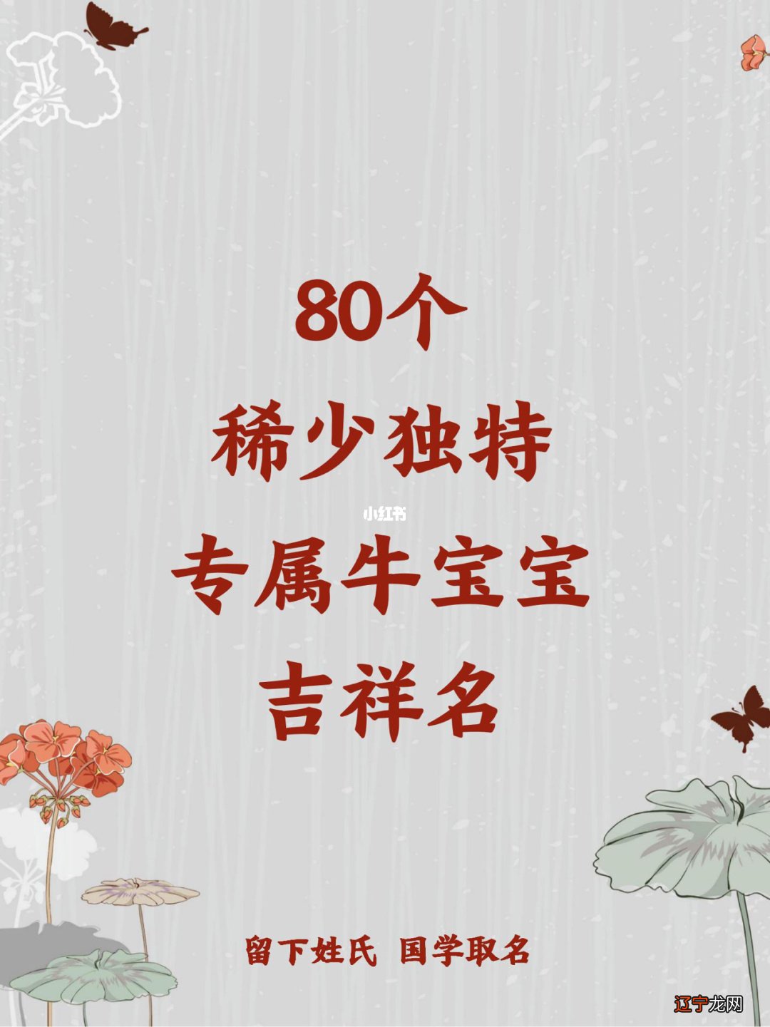 牛年牛宝宝适合用什么生肖的乳名生肖宝宝取小名