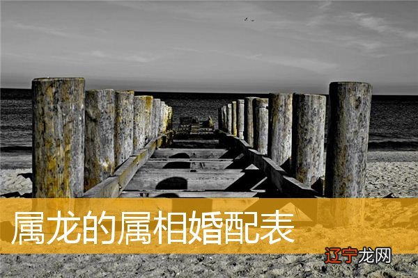 生肖龙和什么属相最为相配呢?的宜配生肖