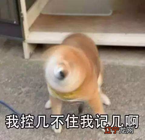 义无反顾变成了我老公的教练，我该怎么办？