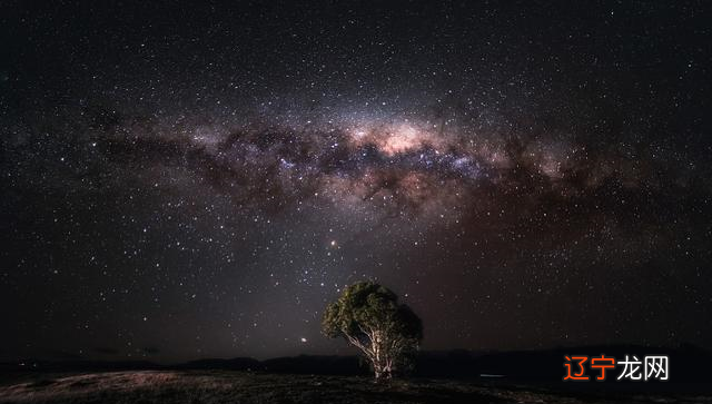 看似愚笨外表，实则精明，且做事从来都是胸有成竹的呢