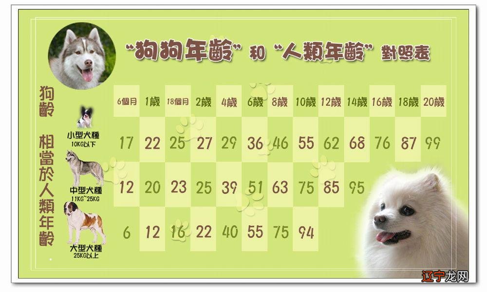 属狗人进入2018年之后多少岁了呢?虚岁虚岁?