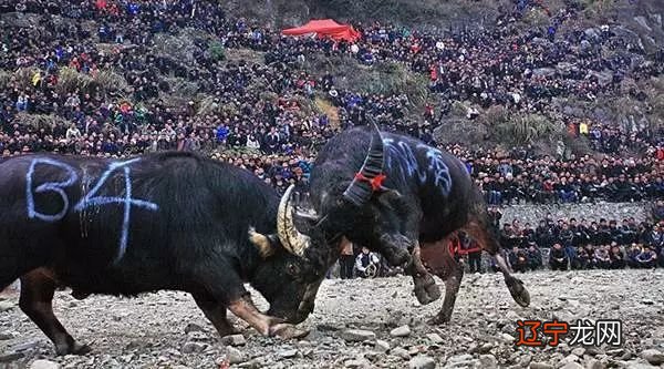 北京当地特色美食小店_当地特色的民俗活动有哪些_海南民俗特色