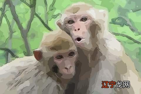 属马的与什么属相最配,属马的小人是什么