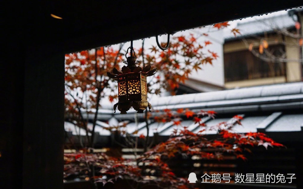 一聊与火象星座相处的五项“不要”原则，你知道吗？