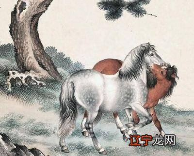 2022年八月属马人要小心驶得万年船才行的三大生肖！