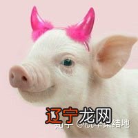 十二生肖风水堂:什么属相的男女最合适在一起