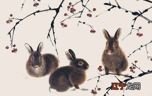 十二生肖五行相克表,十二生肖十二生肖与生肖属相联系起来!