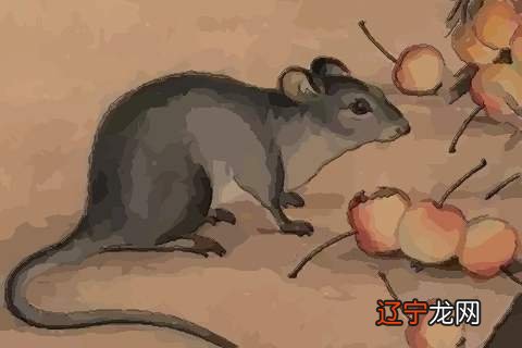 1948年属鼠人2021年对照表61岁虚岁98岁