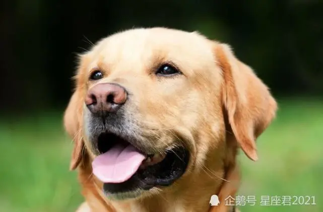 2018年出生人属什么命最好，如何化解浪漫气氛