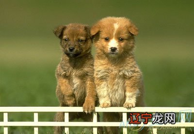 2018年出生人属什么命最好，如何化解浪漫气氛