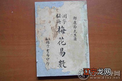 周易梅花易数排盘怎么排？梅花易数是什么意思？