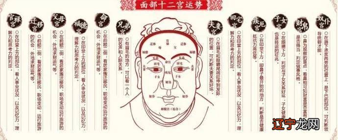 会看风水的人一定会看面相、手相算命的全是骗子