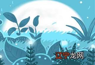 风象风水堂:风象星座创造美的能力