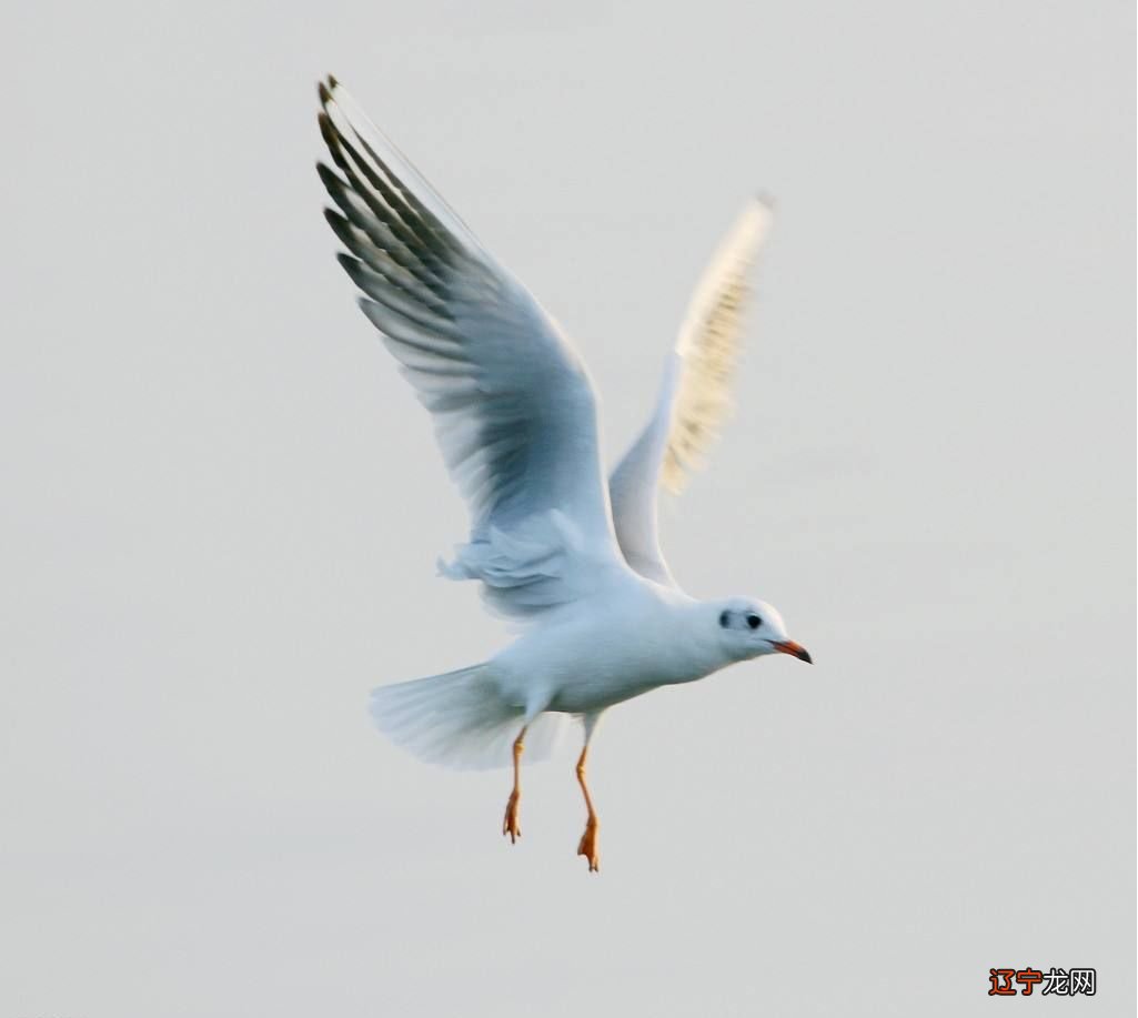 【李向东】古人留下的几种不可思议结果,你知道吗?