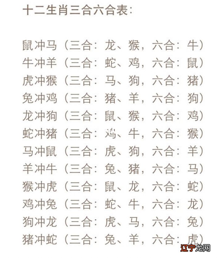 三合和六个合哪个最好生肖的婚配什么是6合