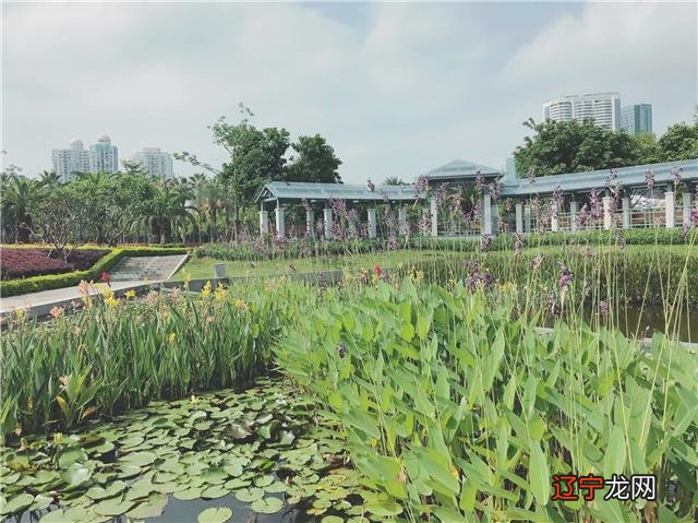 慈世堂:餐厅八大旺财风水,你知道吗?