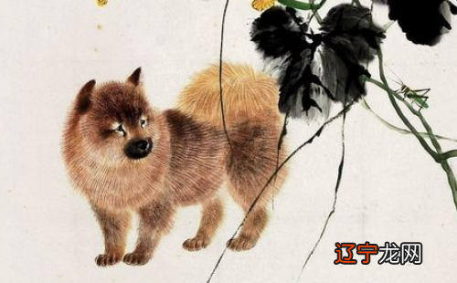 风水堂:生肖狗的人来说结合