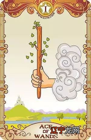 占卜他的真心_胖东来真心换真心_塔罗牌占卜真心超准