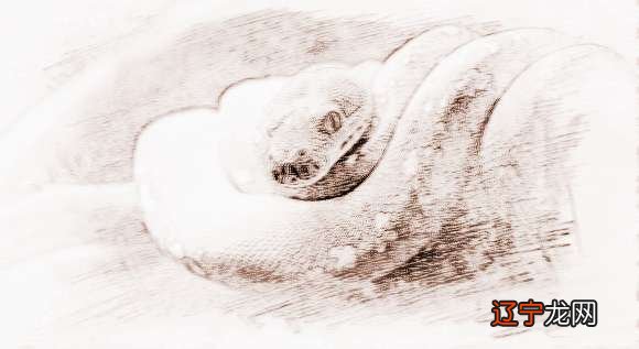 1977年属什么生肖，1977年生人在2018年能否赚大钱