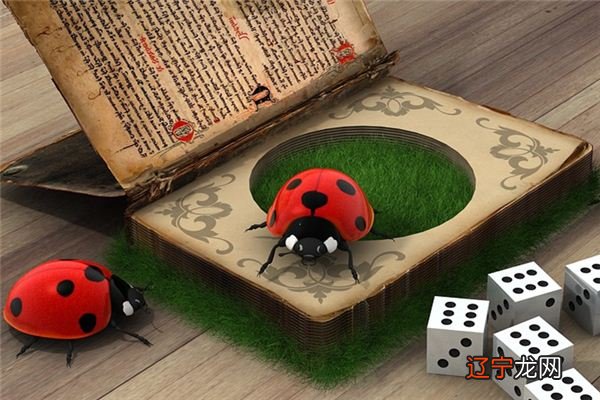 周公解梦:梦见手上有虫子,预示身体很强壮!